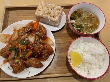 ビションフリーゼ　おもち  おもち、心肥大のお薬始めました IMG_0841-380x285