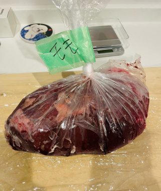 ビションフリーゼ　おもち  こぎみゅんとくらみゅん♡ IMG_0884-321x380