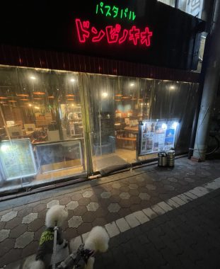 ビションフリーゼ　おもち  こぎみゅんとくらみゅん♡ IMG_0895-311x380