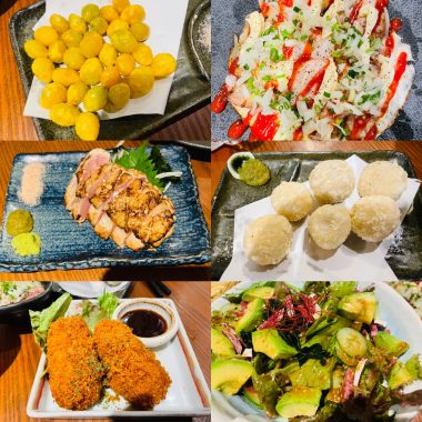 ビションフリーゼ　おもち  二子玉のイベント行ってきました！ 89DE3713-0232-4F5E-BB9A-E49BA59741EF-380x380