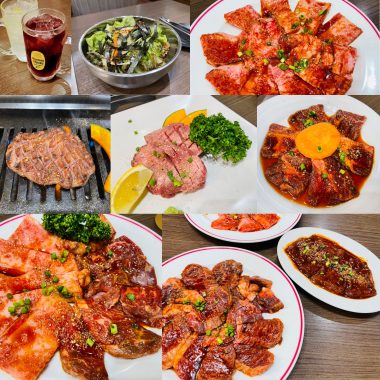 ビションフリーゼ　おもち  いつかのちょっと C35F46D8-2133-4022-BD86-0F922E711B10-380x380