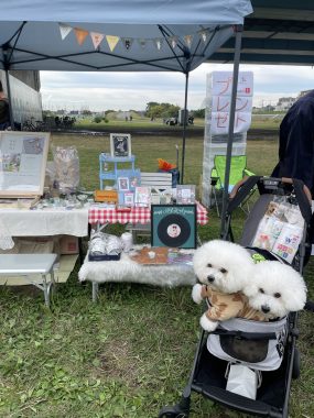 ビションフリーゼ　おもち  二子玉のイベント行ってきました！ IMG_0949-scaled-e1762176057378-285x380