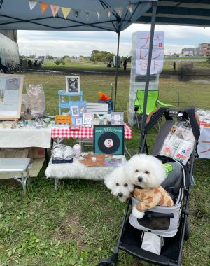 ビションフリーゼ　おもち  二子玉のイベント行ってきました！ IMG_0953-300x380