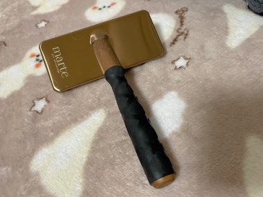 ビションフリーゼ　おもち  うひひ♪マルテのスリッカー！ IMG_1009-380x285