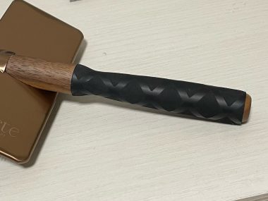 ビションフリーゼ　おもち  うひひ♪マルテのスリッカー！ IMG_1012-380x285