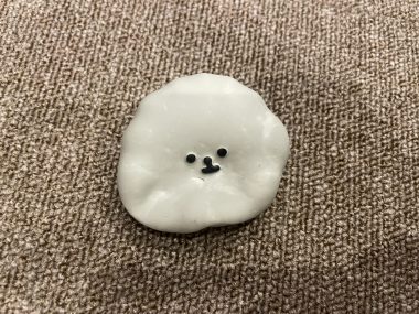 ビションフリーゼ おもち 顔・デュアルピールとシルファームx初回 IMG_1191-380x285 ビションフリーゼ おもち 顔・デュアルピールとシルファームx初回 IMG_1191-380x285