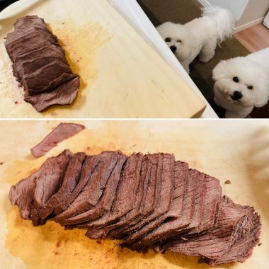 ビションフリーゼ　おもち  メリークリスマス！（遅） 152402EA-0D4F-4CEF-89C9-5F746FF4903F-380x380