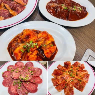 ビションフリーゼ　おもち  運転練習おじさんぽ彡 98294661-C855-4F7C-8A6B-B79F3CA88C5D-380x380