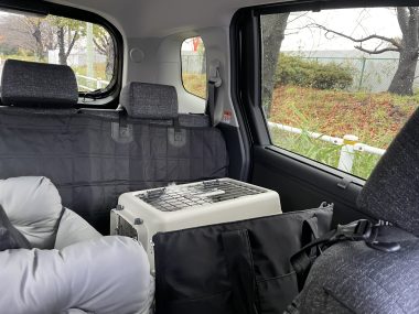 ビションフリーゼ おもち おもちふくらむ 12月14日(日曜) IMG_1351-380x285 ビションフリーゼ おもち おもちふくらむ 12月14日(日曜) IMG_1351-380x285