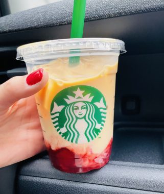 ビションフリーゼ おもち おもちふくらむ 12月14日(日曜) IMG_1352-321x380 ビションフリーゼ おもち おもちふくらむ 12月14日(日曜) IMG_1352-321x380