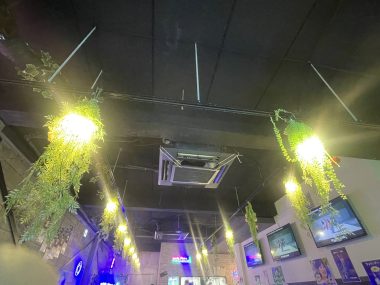 ビションフリーゼ おもち おもちふくらむ 12月14日(日曜) IMG_1367-380x285 ビションフリーゼ おもち おもちふくらむ 12月14日(日曜) IMG_1367-380x285