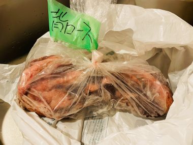 ビションフリーゼ　おもち  メリークリスマス！（遅） IMG_1425_Original-380x285