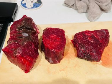 ビションフリーゼ　おもち  メリークリスマス！（遅） IMG_1429-380x283