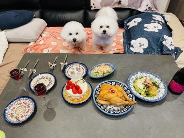 ビションフリーゼ　おもち  メリークリスマス！（遅） IMG_1453-380x285