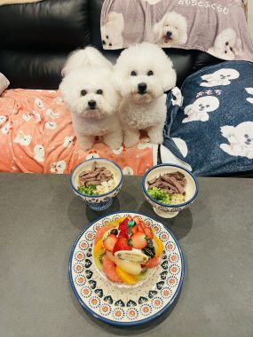 お誕生日 ビションフリーゼ　おもち  ふくらむっちゃん7歳☆お誕生日おめでとう！ IMG_1483-285x380