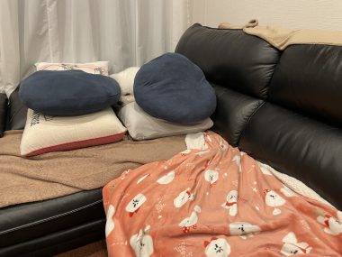 ビションフリーゼ　おもち  大晦日だよおもちふくらむ IMG_1576-380x285