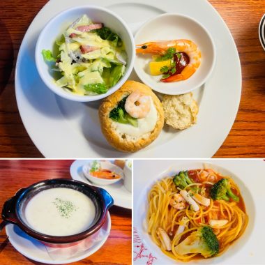 ビションフリーゼ　おもち  おもちふく海の公園 6764BF3B-0AC2-4FA0-871D-55B528E12986-380x380