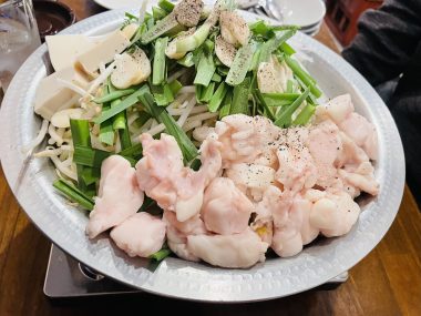 ビションフリーゼ おもち 1月3日(土曜)池上本門寺 IMG_1631-380x285 ビションフリーゼ おもち 1月3日(土曜)池上本門寺 IMG_1631-380x285