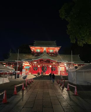 自分の事ですが  2回目の顔に針サクサク地獄 IMG_1706-310x380