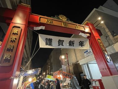 自分の事ですが  2回目の顔に針サクサク地獄 IMG_1710-380x285