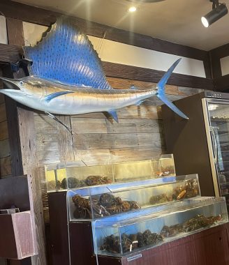 ビションフリーゼ　おもち  おもちふく海の公園 IMG_1718_Original-328x380