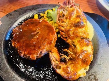 ビションフリーゼ　おもち  おもちふく海の公園 IMG_1722-380x285