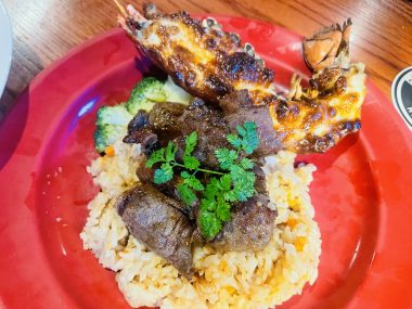 ビションフリーゼ　おもち  おもちふく海の公園 IMG_1724-380x285