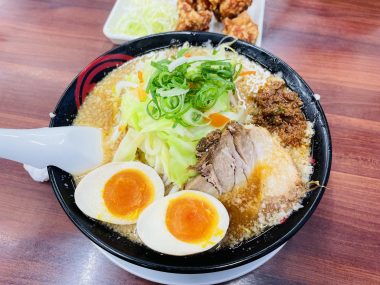 ビションフリーゼ　おもち  おも心臓検査の日 IMG_1786-380x285