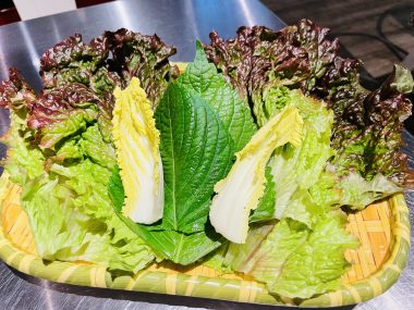 ビションフリーゼ　おもち  おも心臓検査の日 IMG_1799-380x285