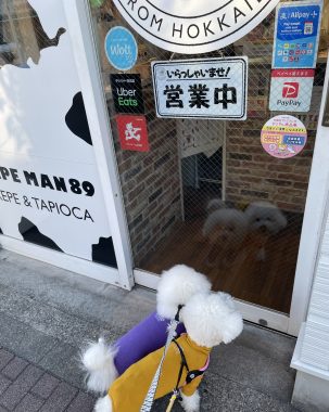 ビションフリーゼ　おもち  おもちふくおじさんぽ彡 IMG_1849-303x380