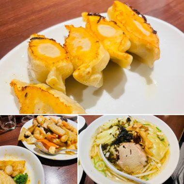 ビションフリーゼ　おもち  葛西でバイト飲み BE4BF1EF-F799-4E4B-B5A0-5802537EBE9A-380x380