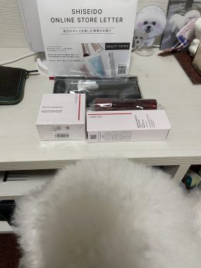 ビションフリーゼ おもち おもちふくおじ海の公園 IMG_1924-scaled-e1769961726656-285x380 ビションフリーゼ おもち おもちふくおじ海の公園 IMG_1924-scaled-e1769961726656-285x380