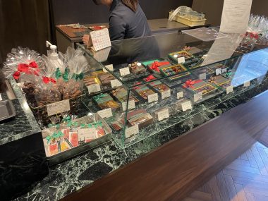 ビションフリーゼ　おもち  おもちゃんハッスル IMG_1931-380x285