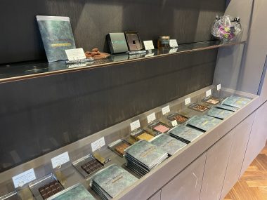 ビションフリーゼ　おもち  おもちゃんハッスル IMG_1932-380x285