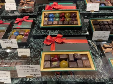 ビションフリーゼ　おもち  おもちゃんハッスル IMG_1933-380x285