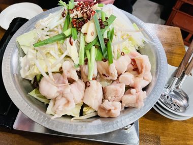 ビションフリーゼ　おもち  久しぶりの積雪 IMG_1971-380x285