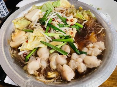 ビションフリーゼ　おもち  久しぶりの積雪 IMG_1972-380x285