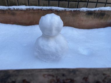 ビションフリーゼ　おもち  久しぶりの積雪 IMG_1977-380x285