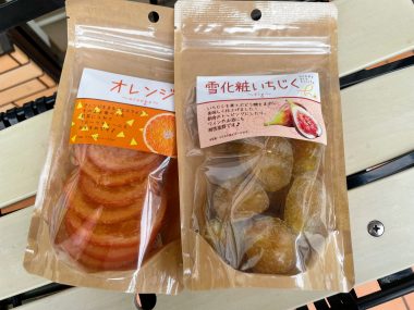 ビションフリーゼ　おもち  今ハマり中のヨーグルト IMG_1982-380x285