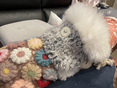 ビションフリーゼ　おもち  冬のあったか花の子ルンルン IMG_1998-380x285