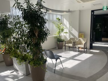 ビションフリーゼ おもち 大腸カメラの予約 IMG_2007-380x285 ビションフリーゼ おもち 大腸カメラの予約 IMG_2007-380x285