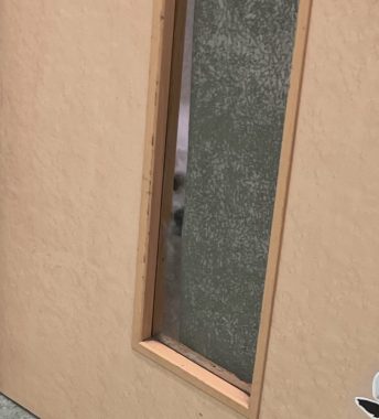 ビションフリーゼ　おもち  おもマッサージの日 IMG_2074-344x380