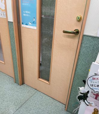 ビションフリーゼ　おもち  おもマッサージの日 IMG_2075-330x380