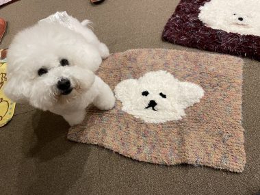 ビションフリーゼ　おもち  ジャックんママお手製のマット♡ IMG_2094-380x285