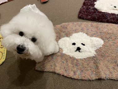 ビションフリーゼ　おもち  ジャックんママお手製のマット♡ IMG_2095-380x285