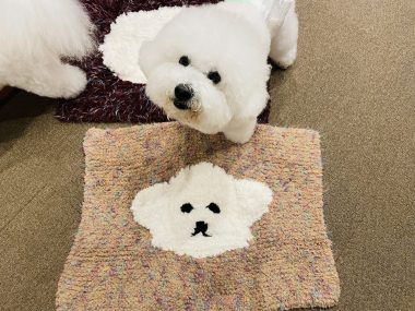 ビションフリーゼ　おもち  ジャックんママお手製のマット♡ IMG_2099-380x285