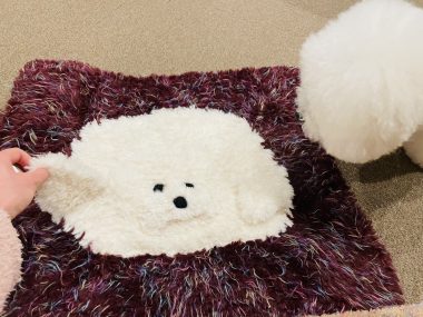 ビションフリーゼ　おもち  ジャックんママお手製のマット♡ IMG_2102-380x285