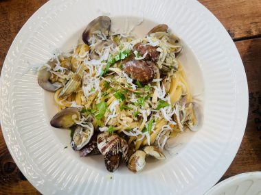 ビションフリーゼ　おもち  ソラムギオモフク IMG_2143-380x285