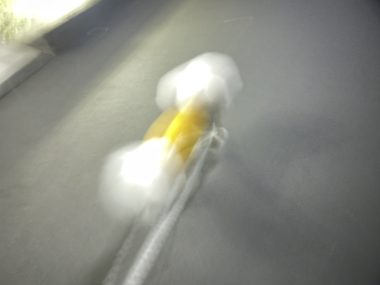 ビションフリーゼ おもち 抜けた歯が出てきました(笑) IMG_2196-380x285 ビションフリーゼ おもち 抜けた歯が出てきました(笑) IMG_2196-380x285