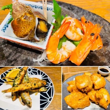 ビションフリーゼ　おもち  バイト飲みお魚屋さん 39C4458B-B34E-438D-9650-707E3E6BA28C-380x380